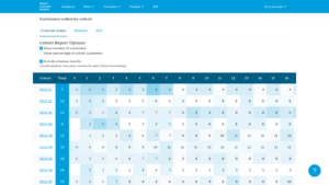 Repeat Customer Insights customer cohort report